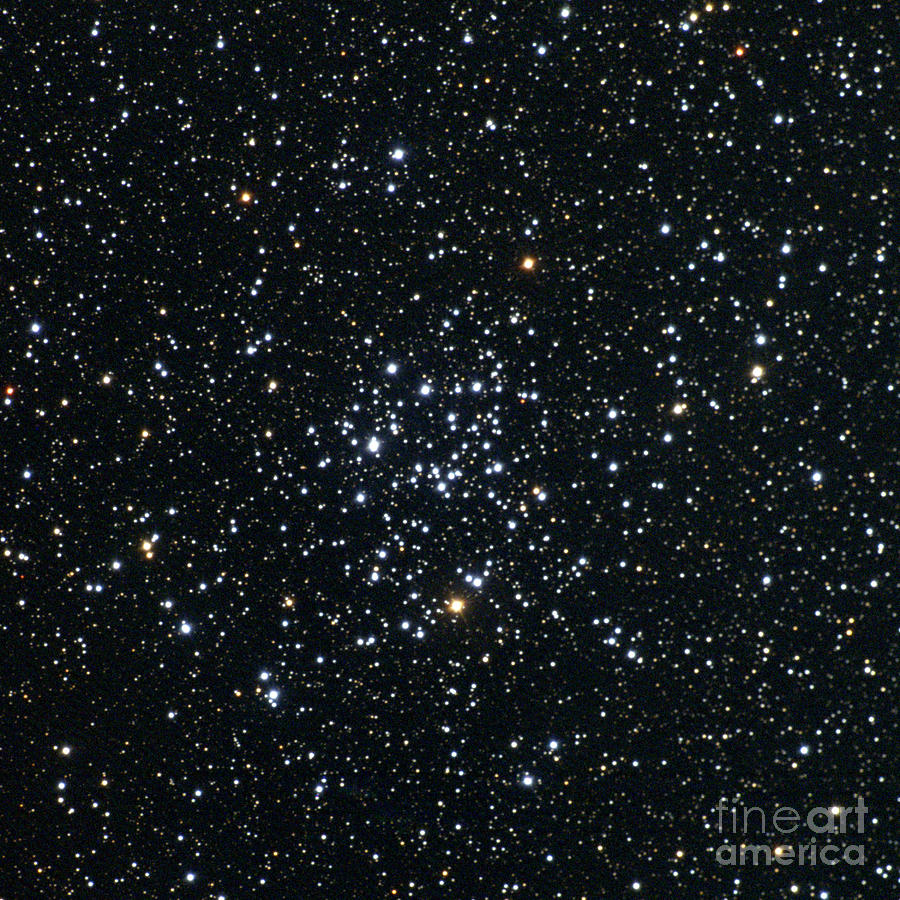 Open Star Cluster, M50, Ngc 2323 Photograph by Noao/aura/nsf
