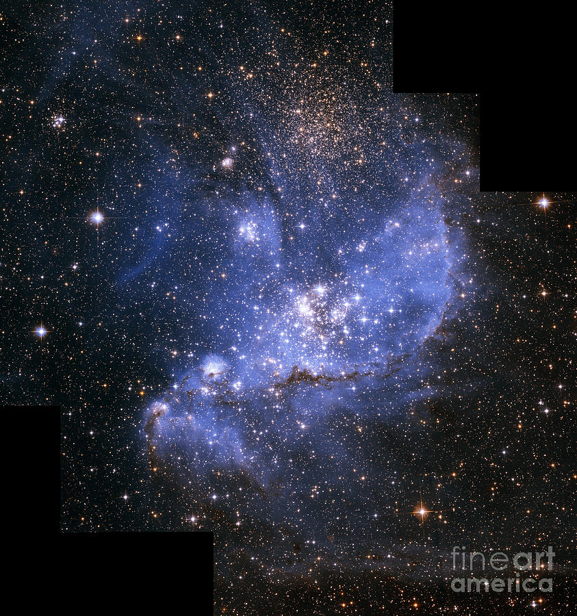 Open Star Cluster, Ngc 346, Smc Photograph by Science Source