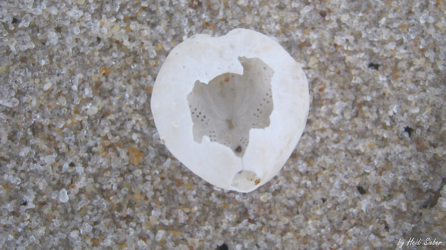Sylt Photograph - Open star-heart by Heidi Sieber Sylt Photograph - Open star-heart by Heidi Sieber