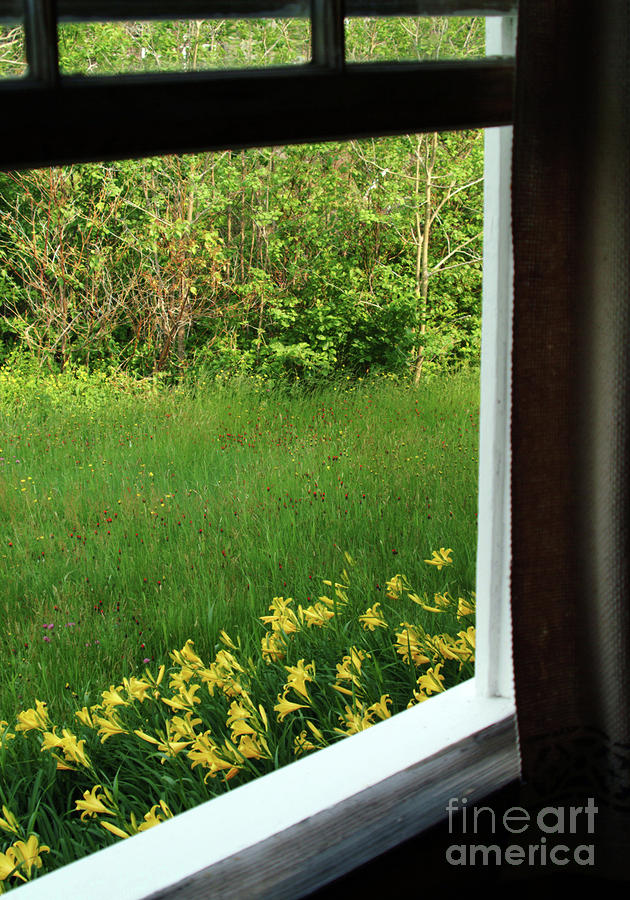 Maine Photograph - Open The Window To Spring by Georgia Sheron