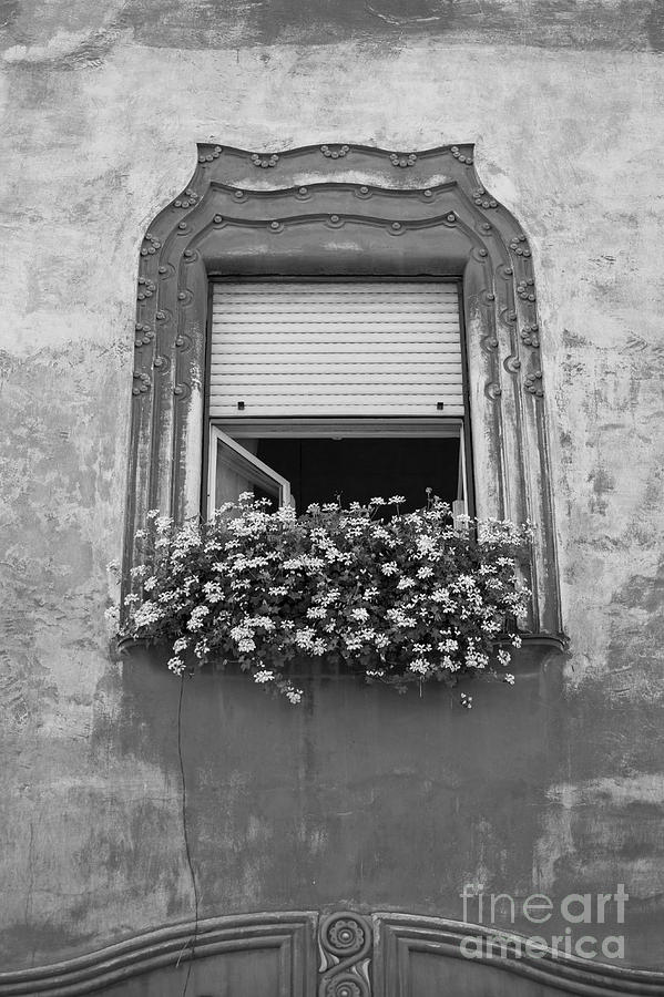 Architecture Photograph - Open window by Gabriela Insuratelu