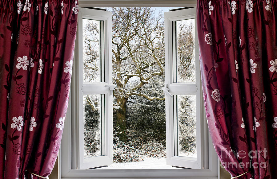 Tree Photograph - Open window with winter scene by Simon Bratt