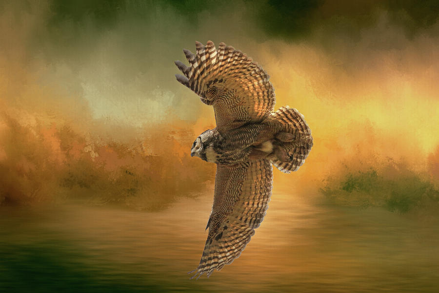 Owl Photograph - Open Wings Over the Pond by Donna Kennedy