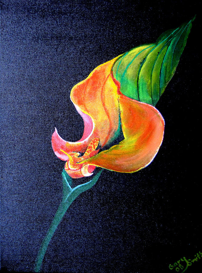 Opening Cala Lily Painting by Gary Smith