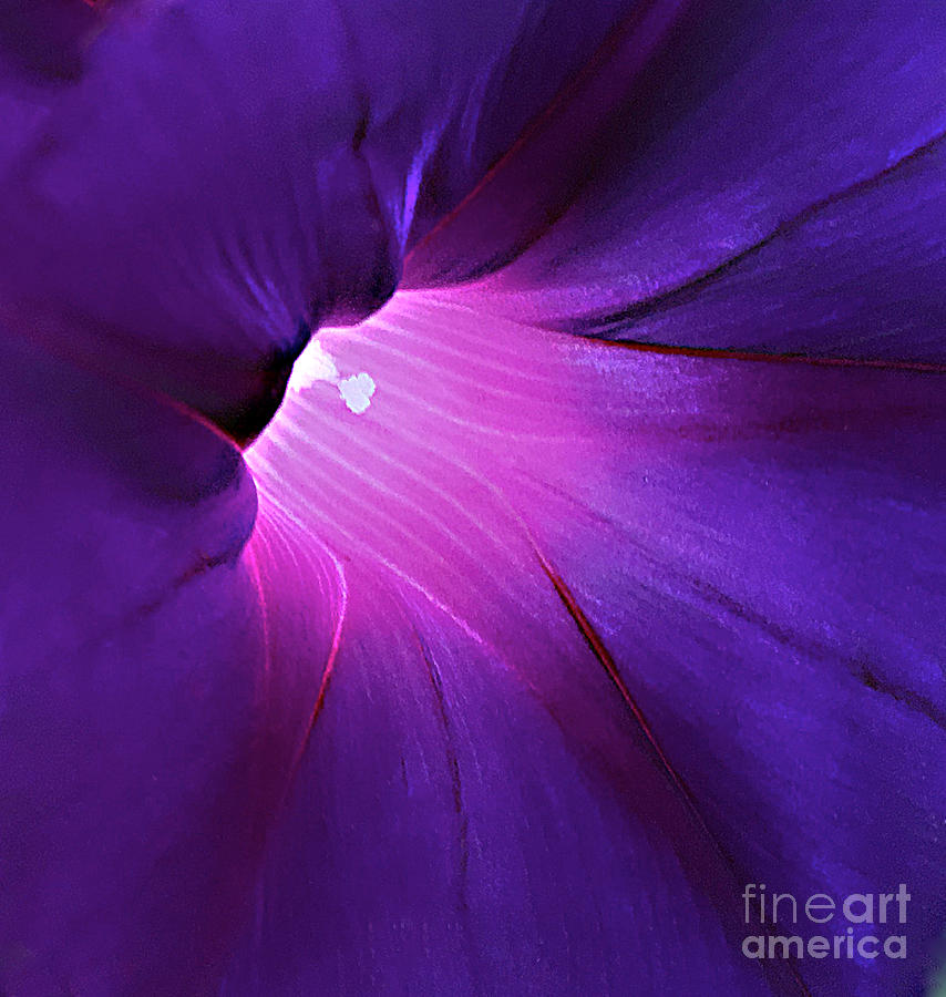 Abstract Photograph - Opening Ones Heart by Sherry Hallemeier