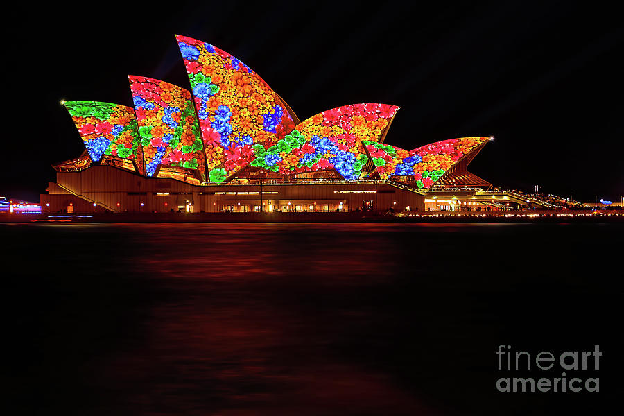 Opera House Floral Vivid Sydney 2016 by Kaye Menner Photograph by Kaye Menner