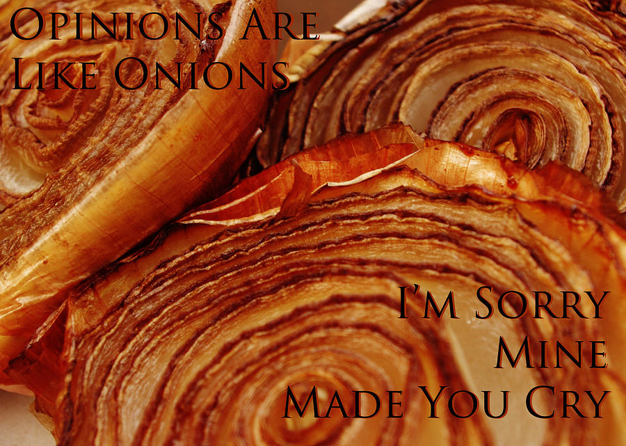 Opinions Are Like Onions Photograph by Lori Kingston