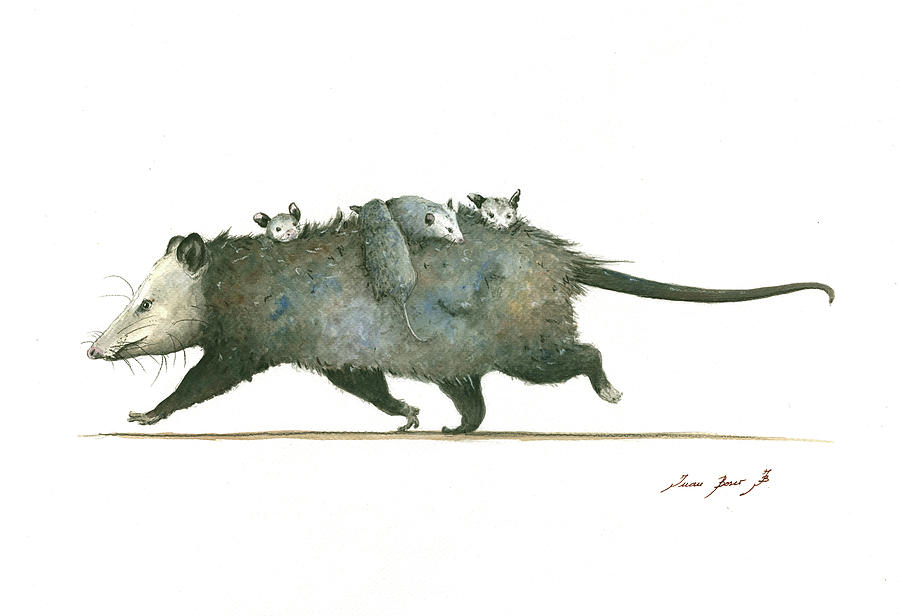 Opossum family Painting by Juan Bosco