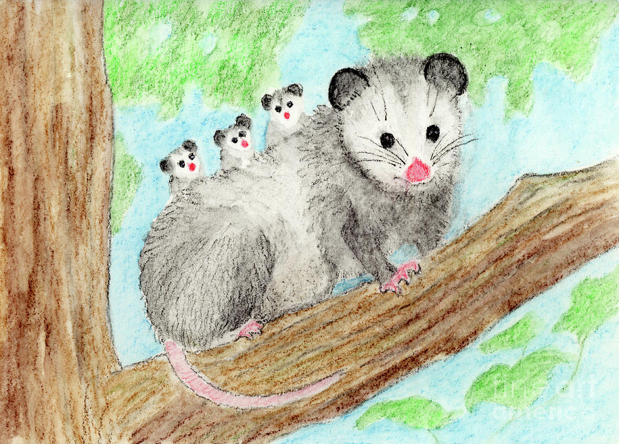 Opossum Mother and Babies Painting by Jackie Irwin