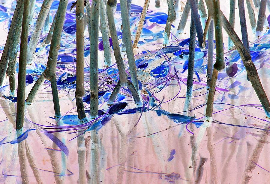 Mangrove Shoreline No. 2 I.C. Digital Art by John Hintz