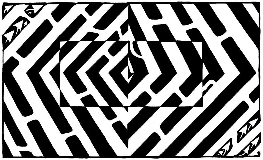 Optical Illusion Drawing - Optical Illusion Maze of Floating Box by Yonatan Frimer Maze Artist