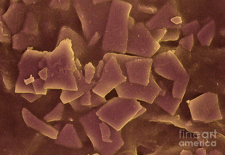 Optical Security Ink, Sem Photograph by Ted Kinsman