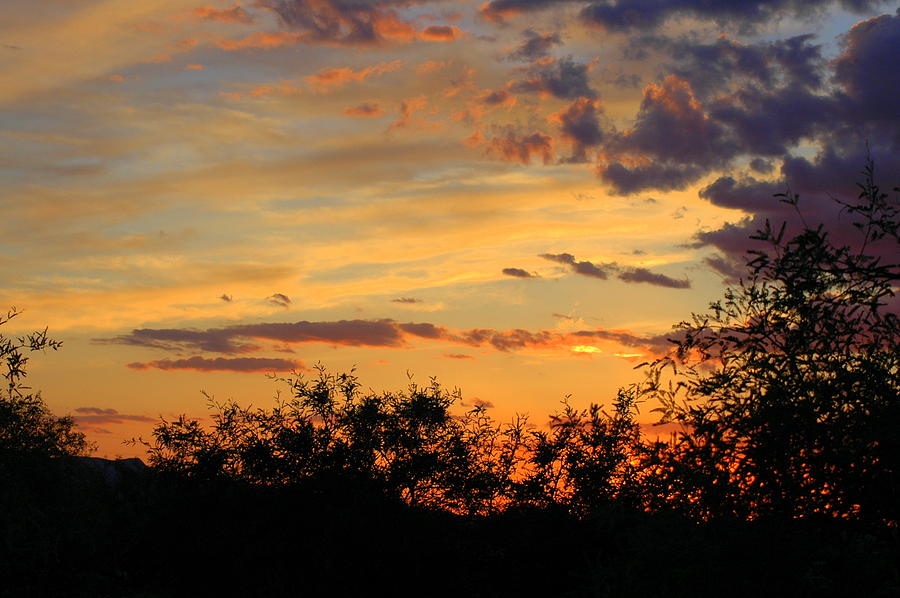 Sunset Photograph - Orange and Blue Desert Sunset by Teresa Stallings