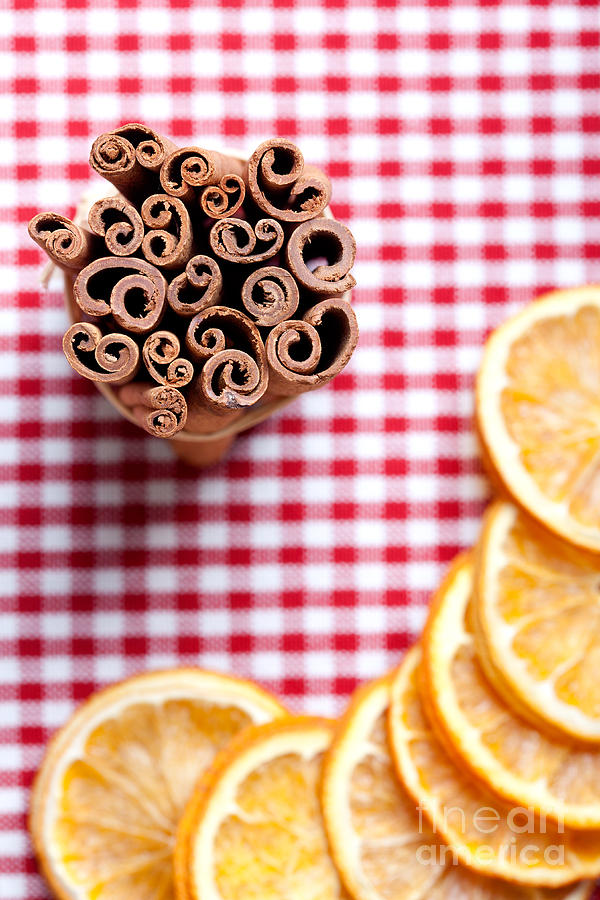 Winter Photograph - Orange and Cinnamon by Nailia Schwarz
