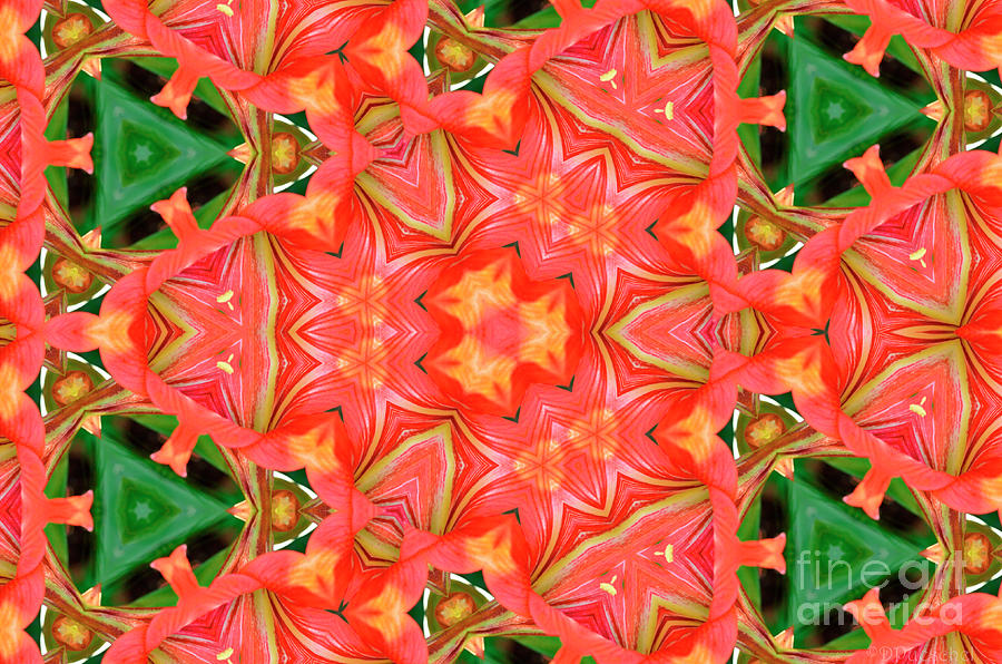 Orange and Green Abstract Photograph by Debby Pueschel