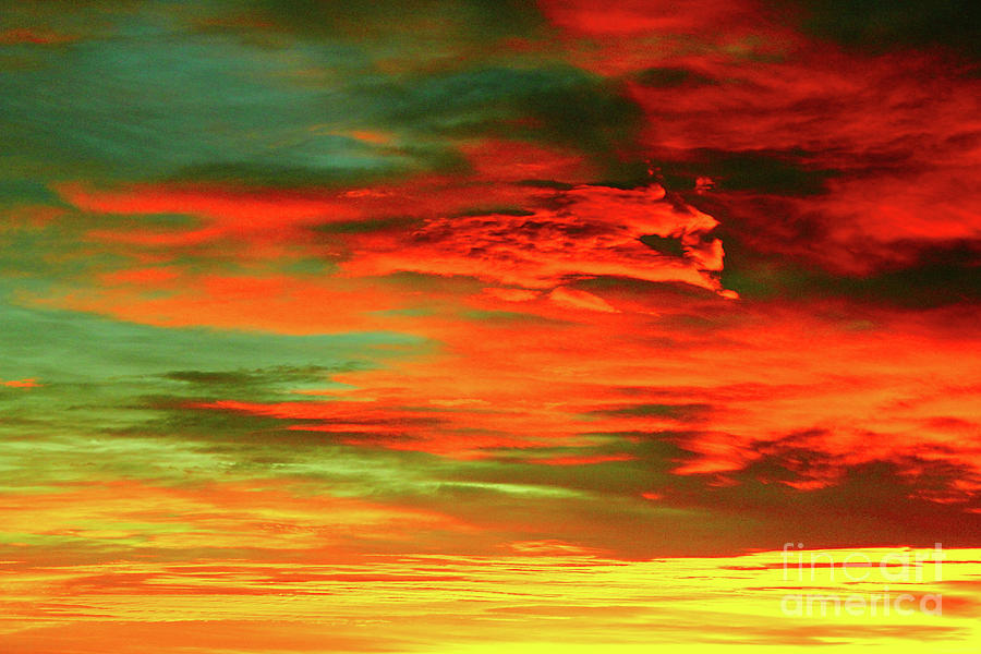 Orange and Green Sunrise Photograph by Donna L Munro