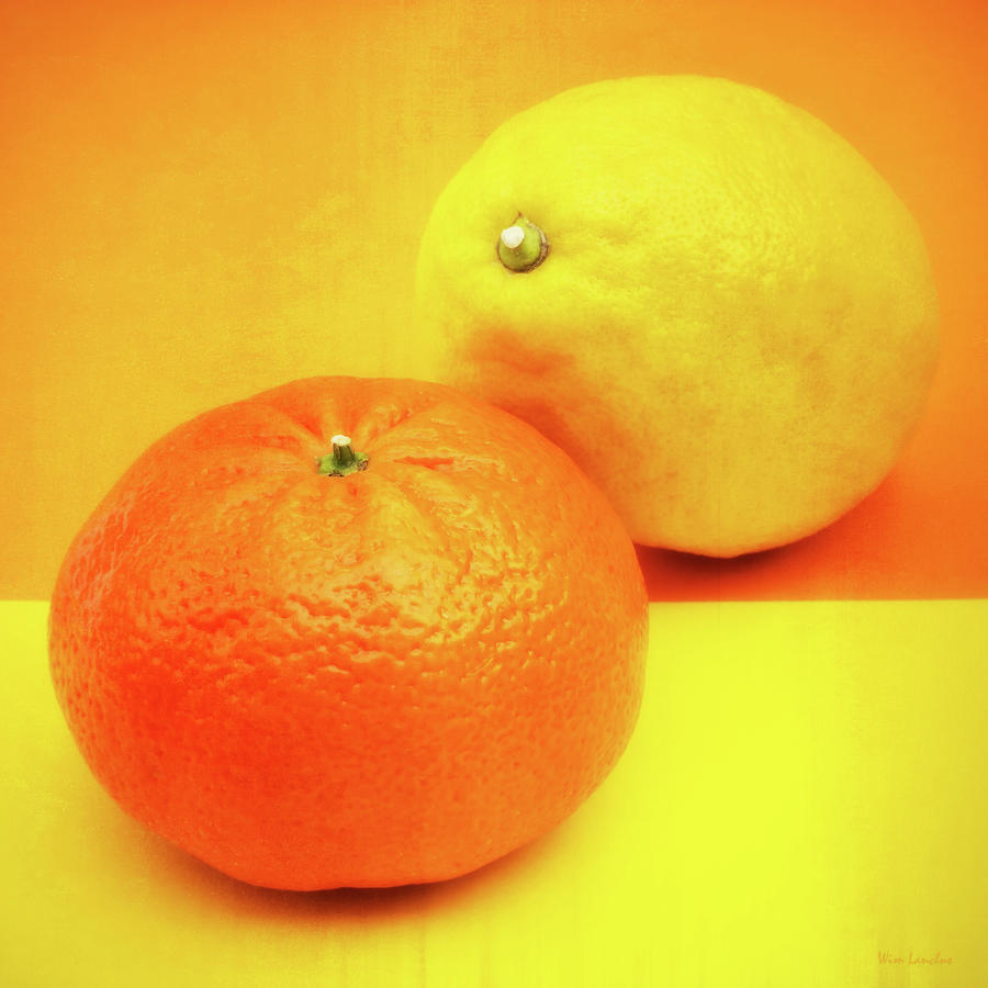 Fruit Photograph - Orange and Lemon by Wim Lanclus