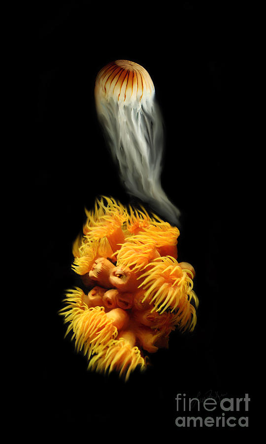 Orange Anemone Painting by Lisa Redfern