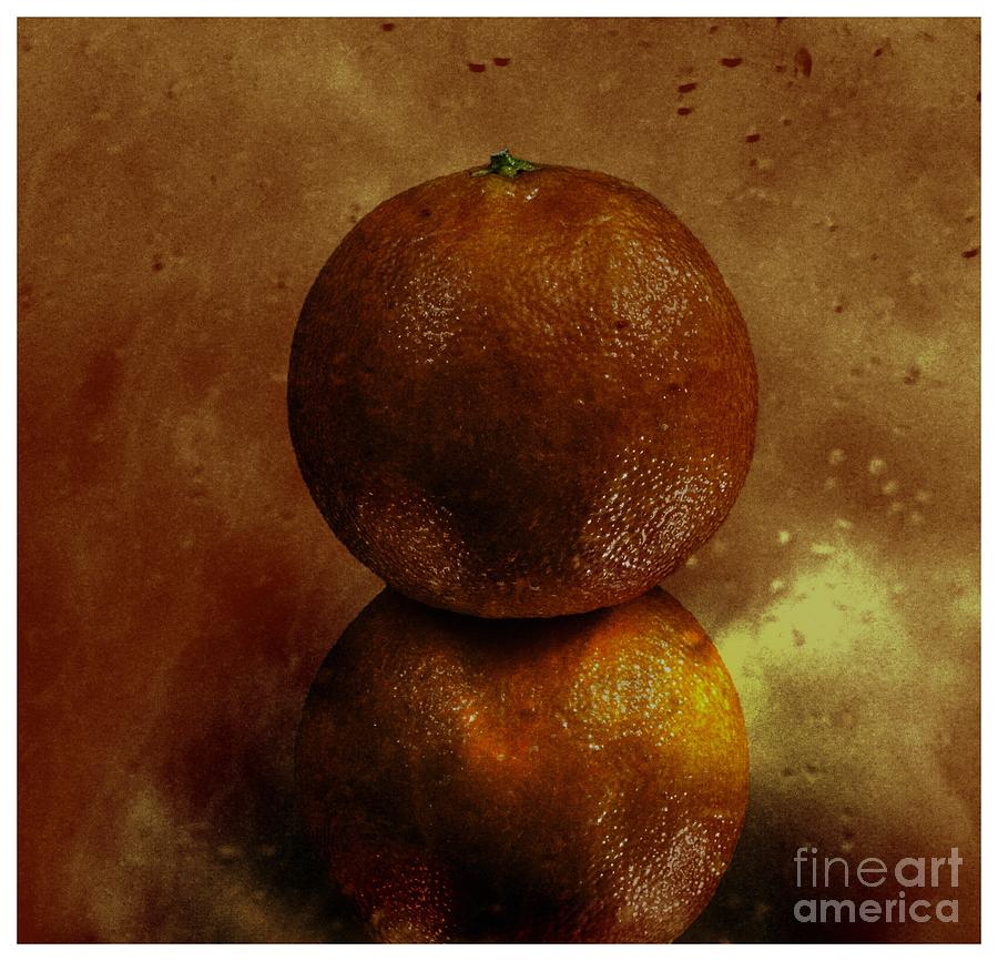 Orange Art Photograph by Shirley Mangini