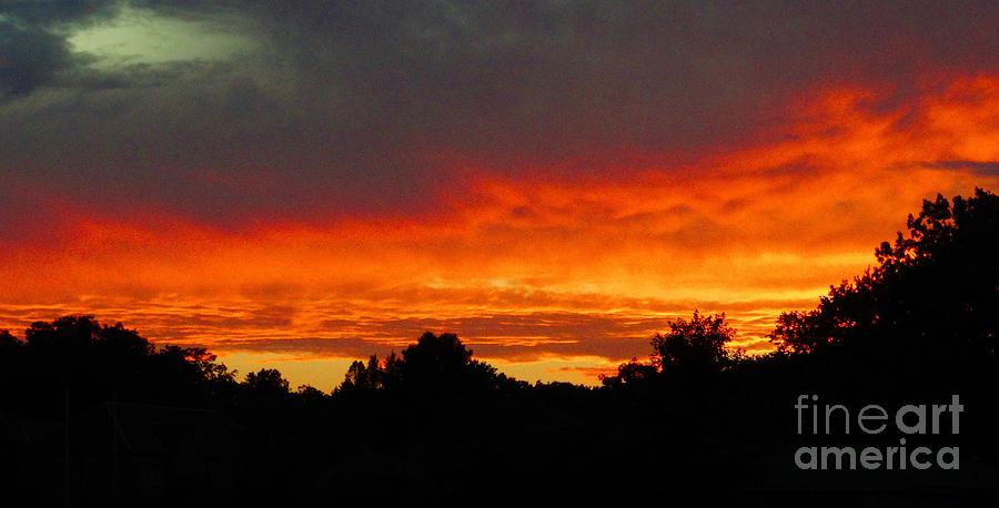 Orange At Sundown Photograph