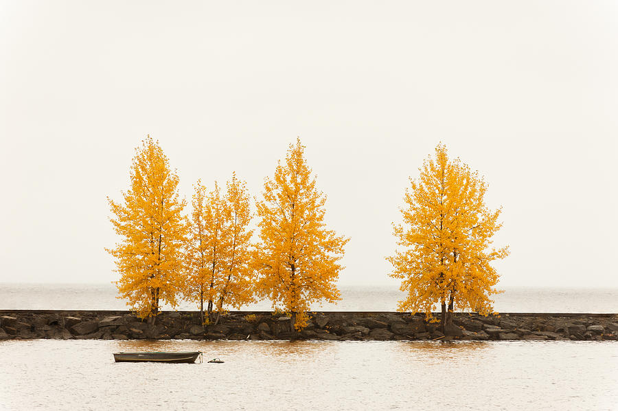 Orange Autumn Photograph by U Schade