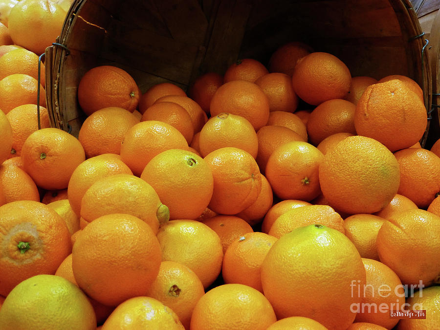 Fruit Photograph - Orange Basket by Two Hivelys