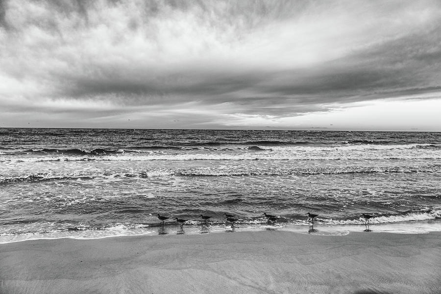 Orange Beach and Birds Morning  Photograph by John McGraw