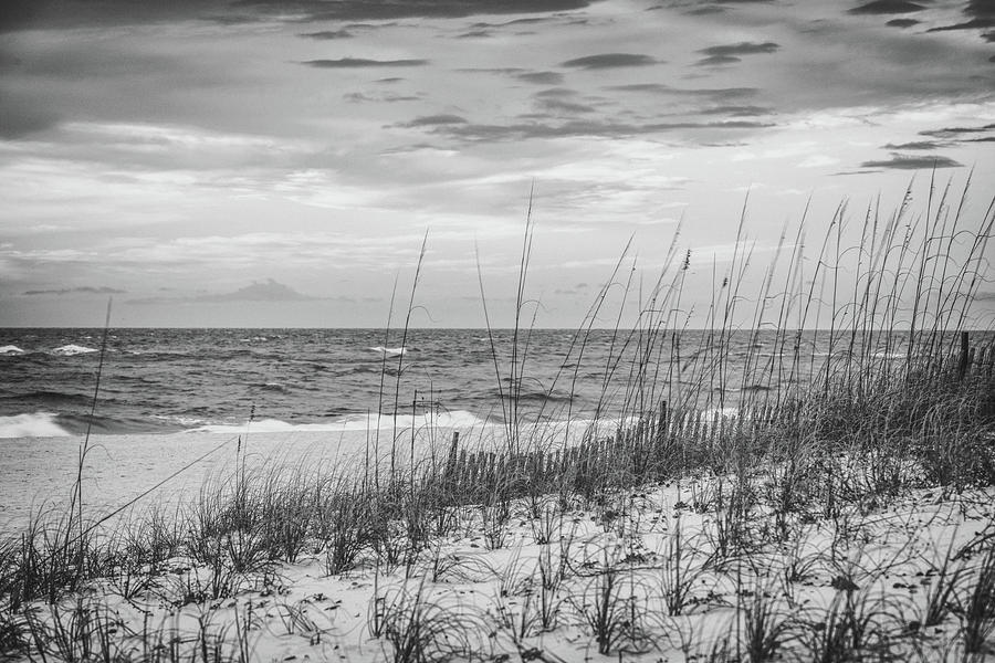 Orange Beach Dunes Grass Photograph by John McGraw