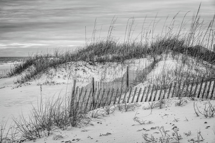 Orange Beach Dunes Morning  Photograph by John McGraw