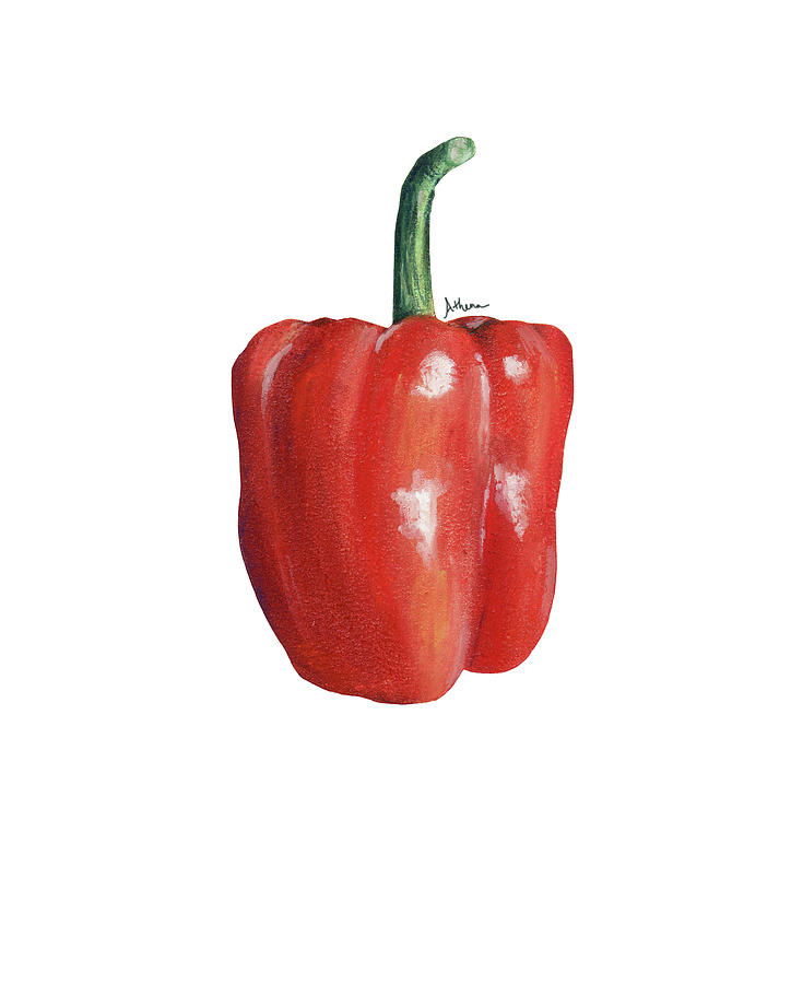 Orange bell pepper Pastel by Athena Lutton - Pixels