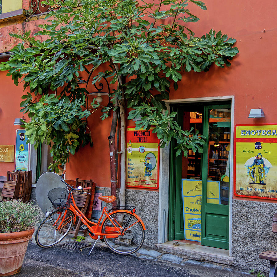Orange Bicycle Wine Shop Monterosso Italy DSC02584 Square Photograph by Greg Kluempers