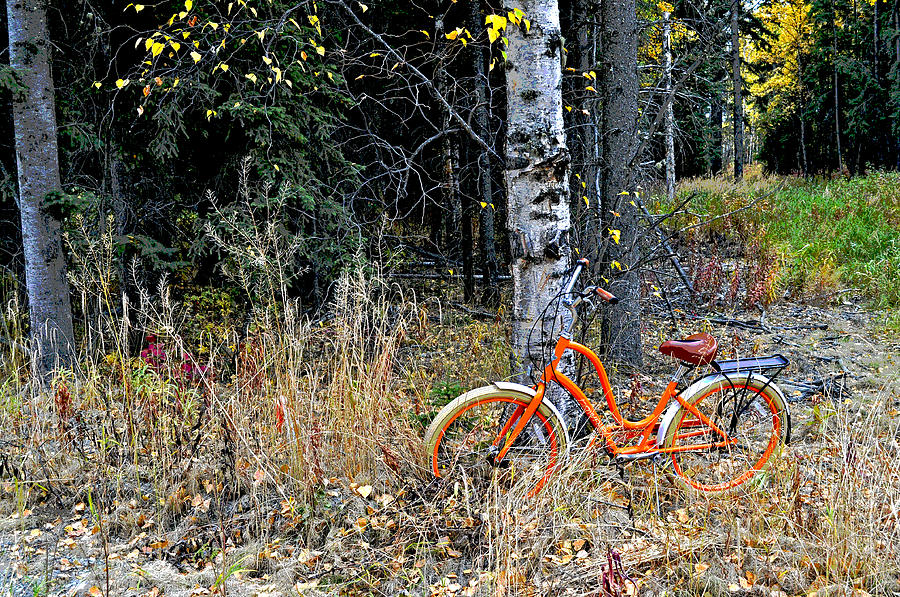 Orange Bike Poster Photograph by Cathy Mahnke