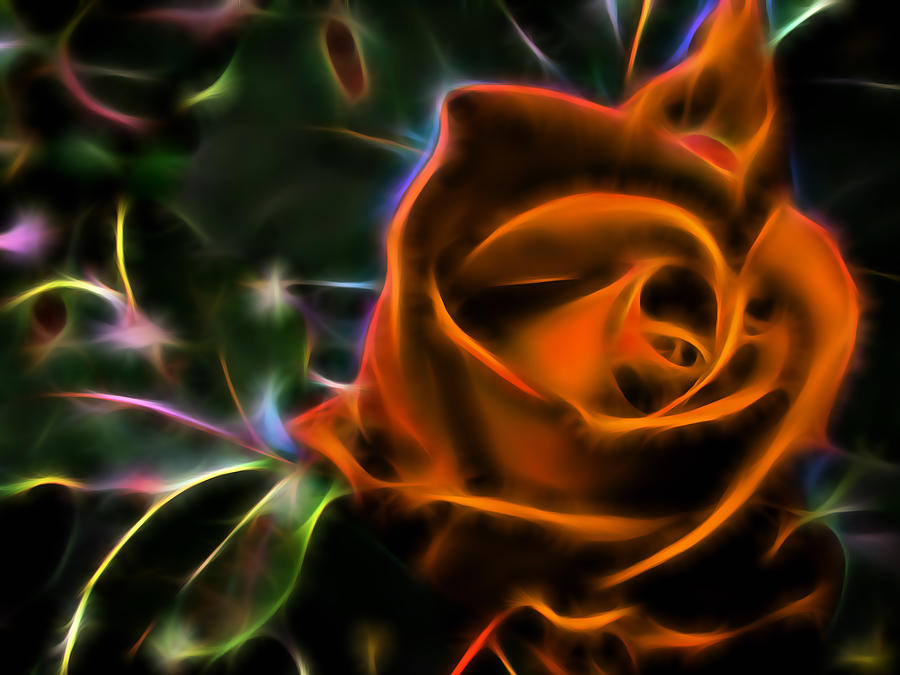Rose Mixed Media - Orange Blossom by Marvin Blaine