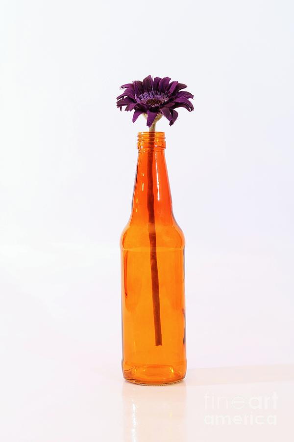 Orange Bottle Photograph by Jimmy Ostgard