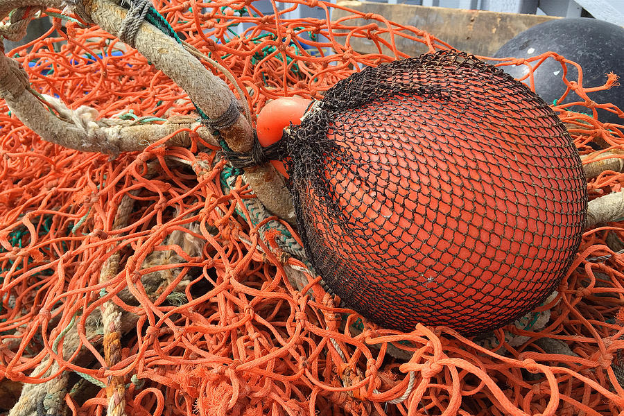 Orange Buoy and Nets Photograph by Art Block Collections