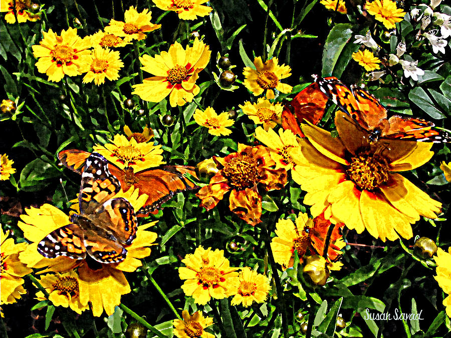 Butterfly Photograph - Orange Butterflies on Yellow Coreopsis by Susan Savad