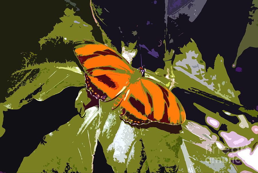 Orange Butterfly Photograph by David Lee Thompson