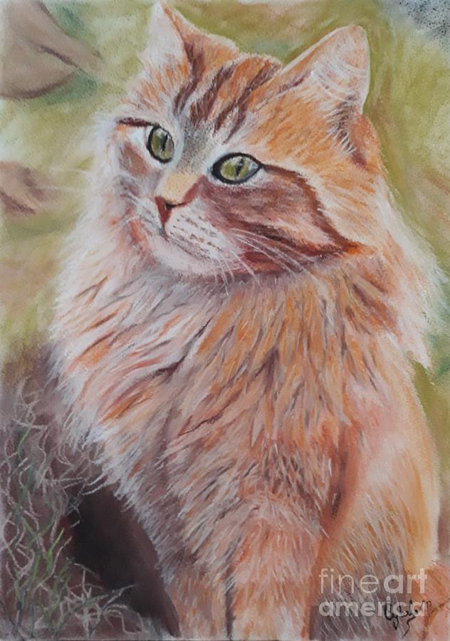 Orange Meow Painting by Cybele Chaves