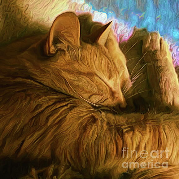 Orange Cat Sleepy Time Photograph by Luther Fine Art