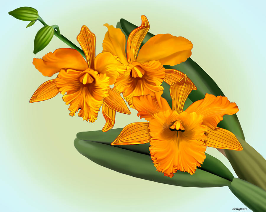 Orange Cattleya Orchids Mixed Media by Anthony Seeker