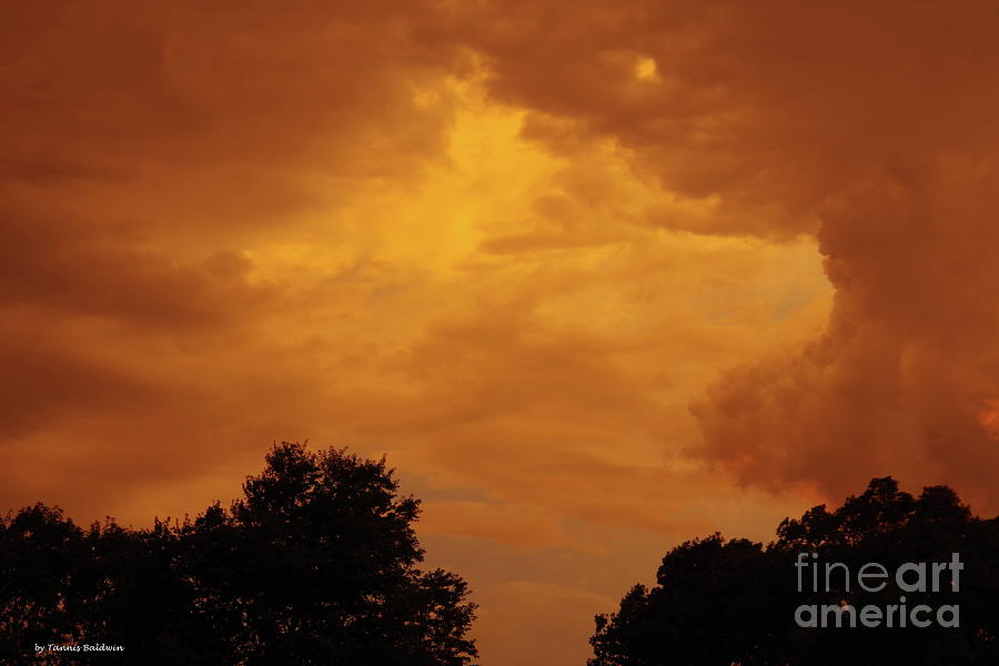 Orange clouds Photograph by Tannis Baldwin