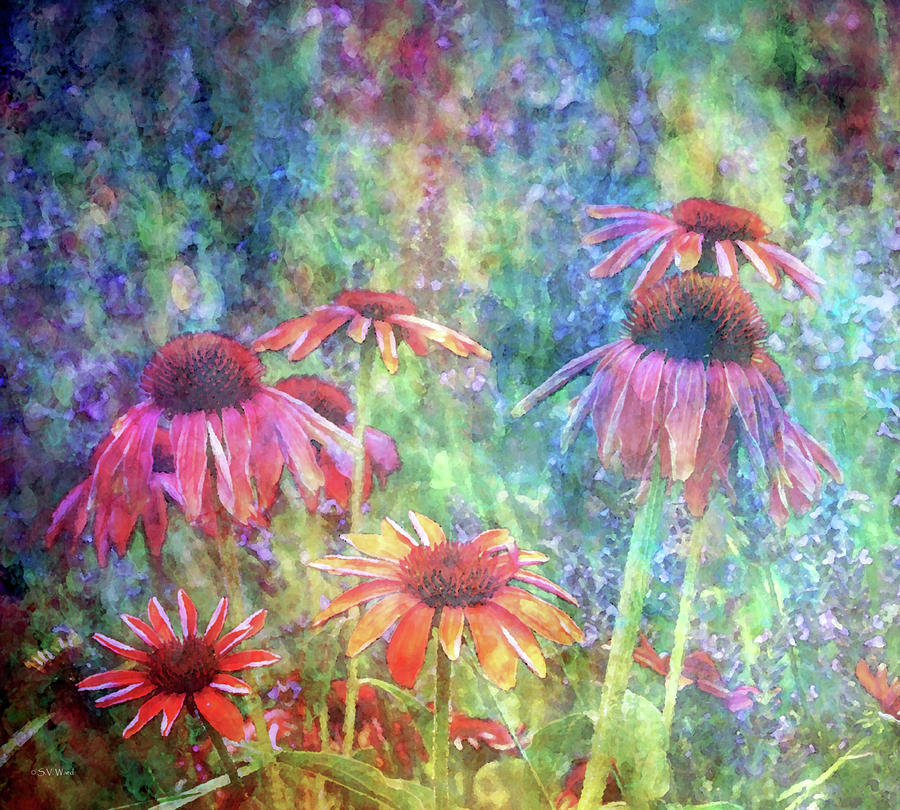 Orange Coneflowers and Lavender 1169 IDP_2 Photograph by Steven Ward
