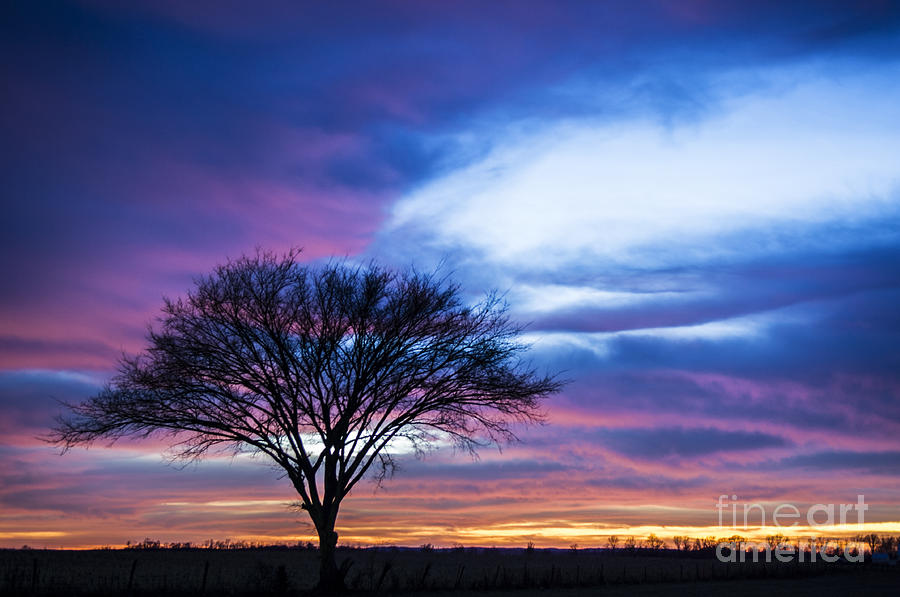 Orange County Sunset - D009836 Photograph by Daniel Dempster