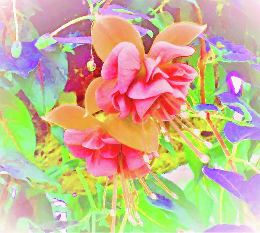 Flower Digital Art - Orange Crush Fuchsia by Ann Johndro-Collins