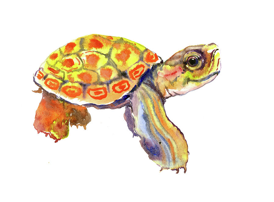 Turtle Painting - Orange Cute Baby Turtle by Suren Nersisyan