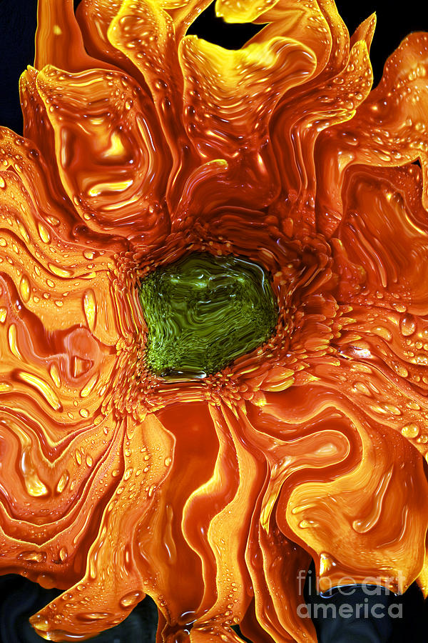 Melting Orange Daisy Digital Art by John Rizzuto