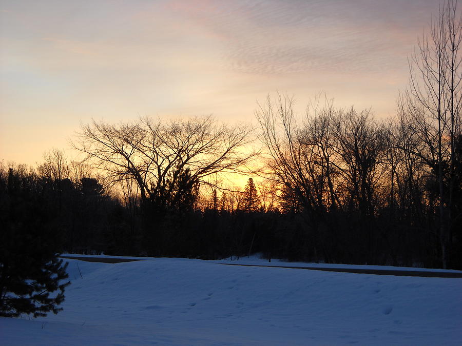 Orange Dawn Sky behind Trees Photograph by Kent Lorentzen