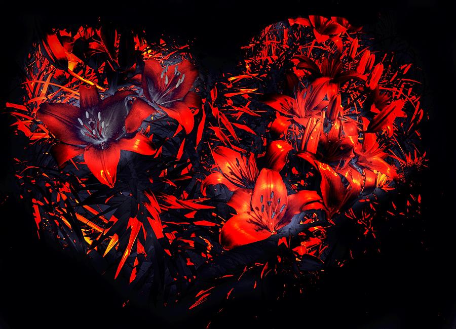 Orange Day Lilies Digital Art by Anne Sands