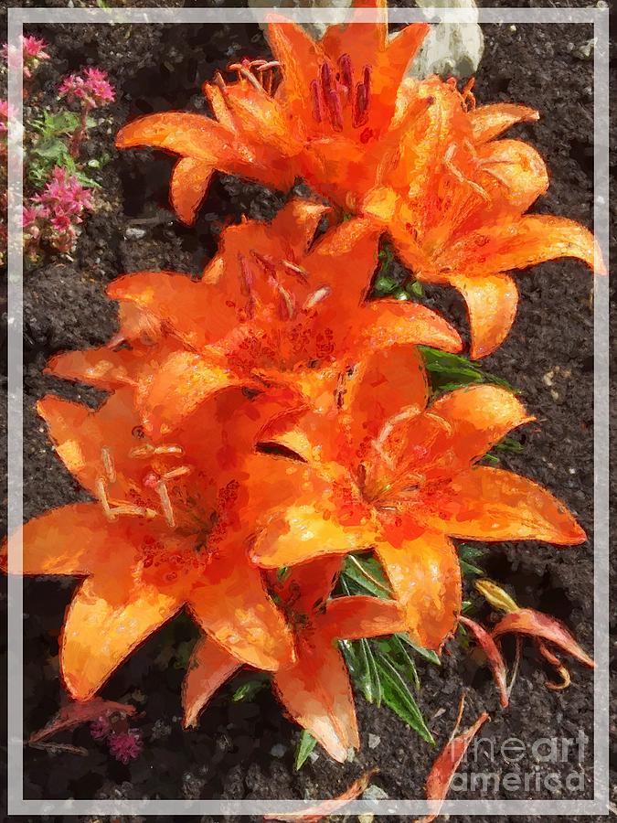 Orange Day Lilies Painted Photograph by Barbara A Griffin