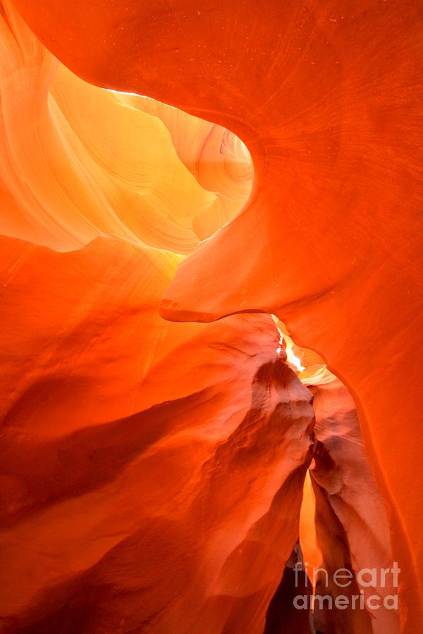 Orange Delight Photograph by Adam Jewell
